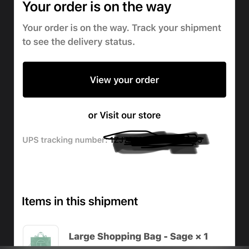 NWT Telfar Sage Shopping Bag- Large - Picture 6 of 8